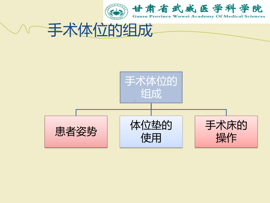 正确手术体位摆放及其重要性课件.ppt_第3页