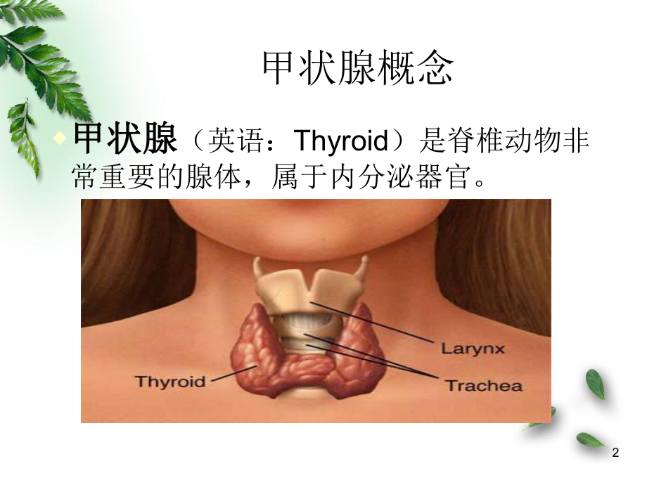 甲状腺围手术期护理医学PPT课件.ppt_第2页