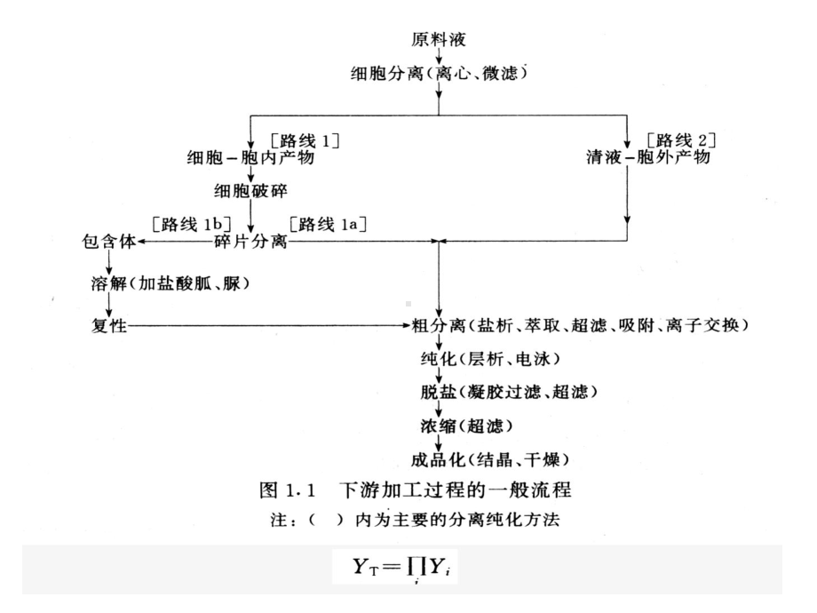 生物分离工程第5章-初级分离课件.ppt_第2页