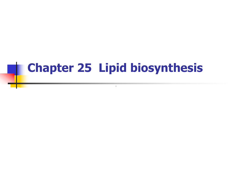 中南大学-生物化学-考研课件-ch25-脂类生物合成-lipid-biosynthesis.ppt_第2页