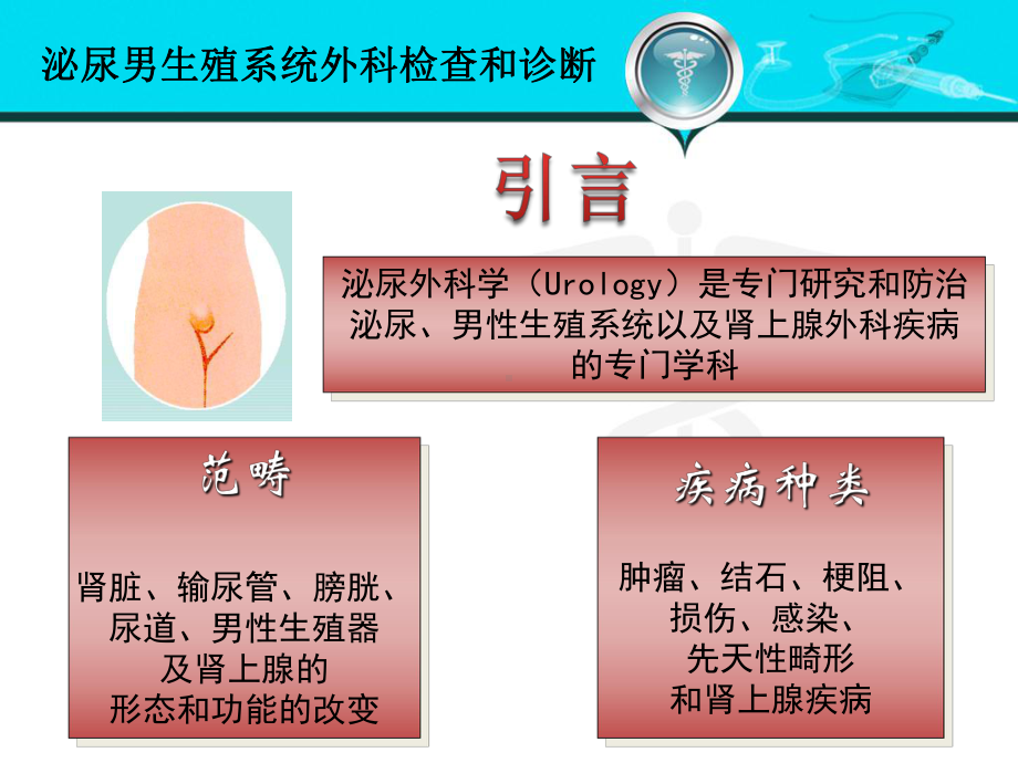 泌尿系统内镜检查与治疗课件.ppt_第2页