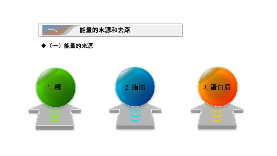 生理学第七章-能量代谢与体温课件.ppt_第3页