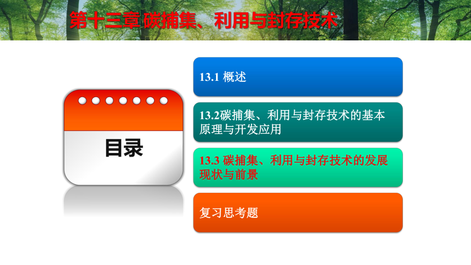 清洁能源概论-第十三章-碳捕集、利用与封存技术课件.pptx_第2页