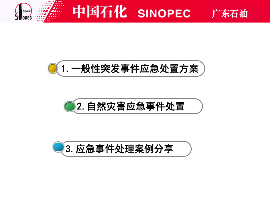 加油站突发事件应急处置方案-PPT精品文档.ppt_第3页