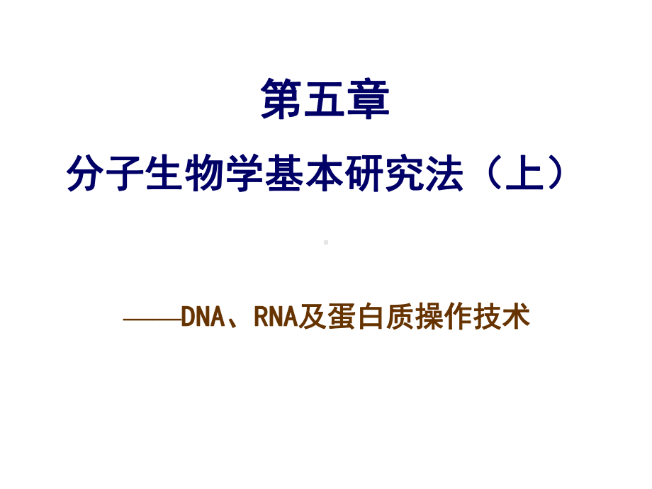 第五章分子生物学研究法上课件.ppt_第1页