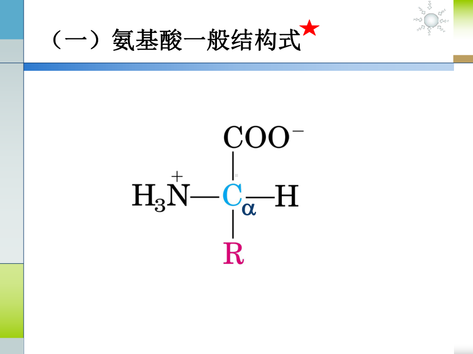 第五章蛋白质：氨基酸化学课件.ppt_第3页