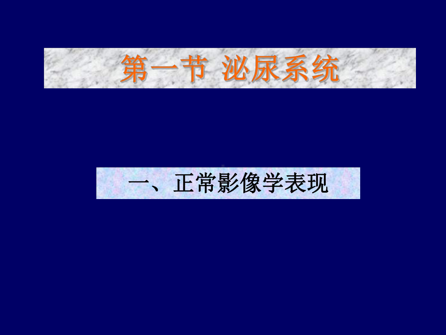 泌尿与生殖系统课件.ppt_第3页