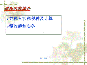 税收实务与筹划讲义课件.ppt