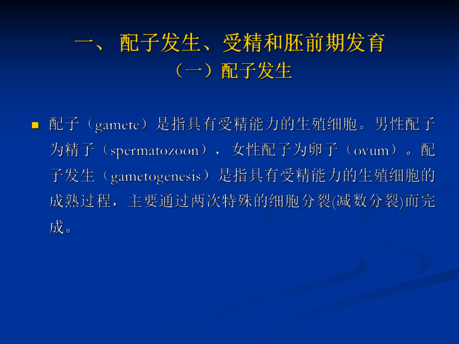 人体胚胎发生课件.ppt_第3页