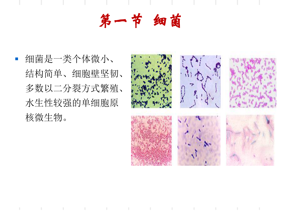 第一章原核微生物-PPT精选课件.ppt_第2页