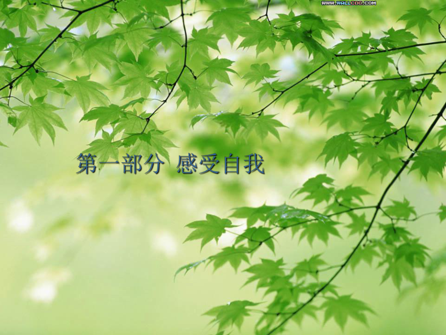 主题班会：我们的生活充满阳光-PPT课件.ppt_第3页