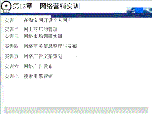 第12章网络营销实训-课件.ppt