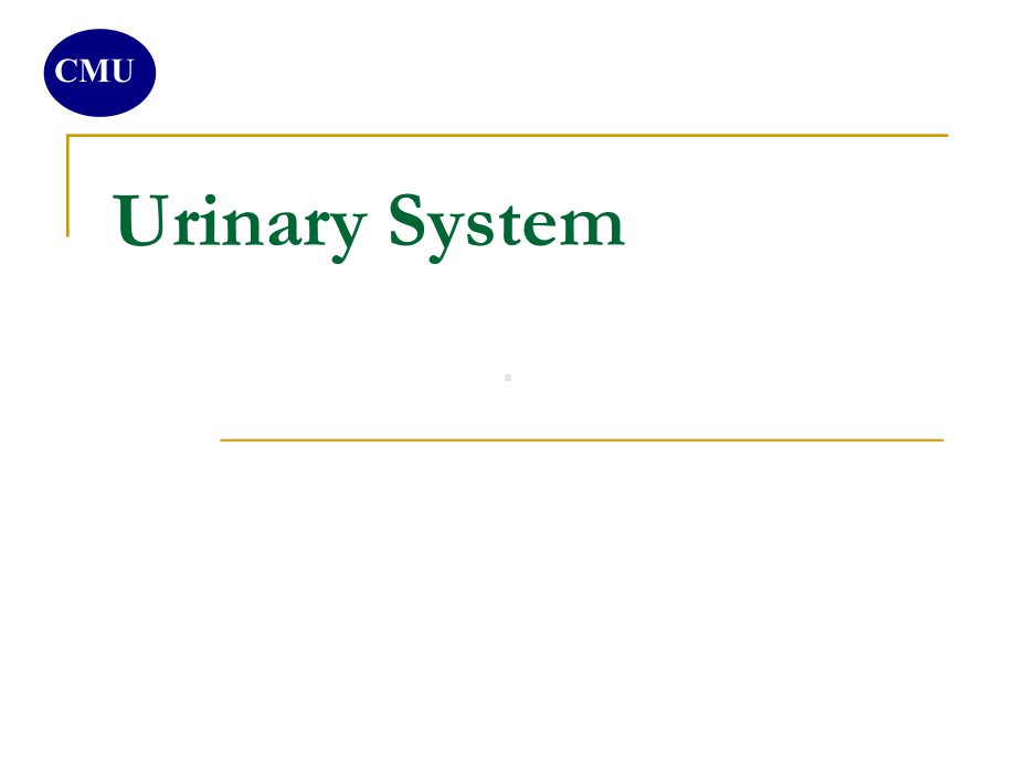 组胚学英文课件-泌尿系统英文课件Urinary-system.ppt_第1页