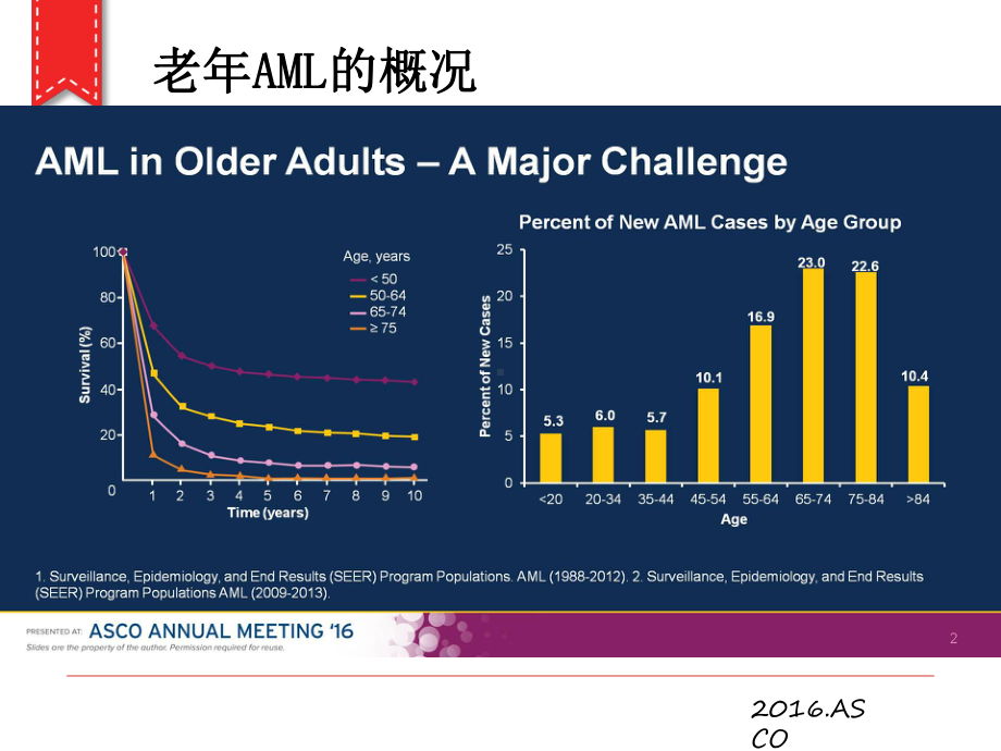 老年急性髓细胞白血病治疗课件.ppt_第2页