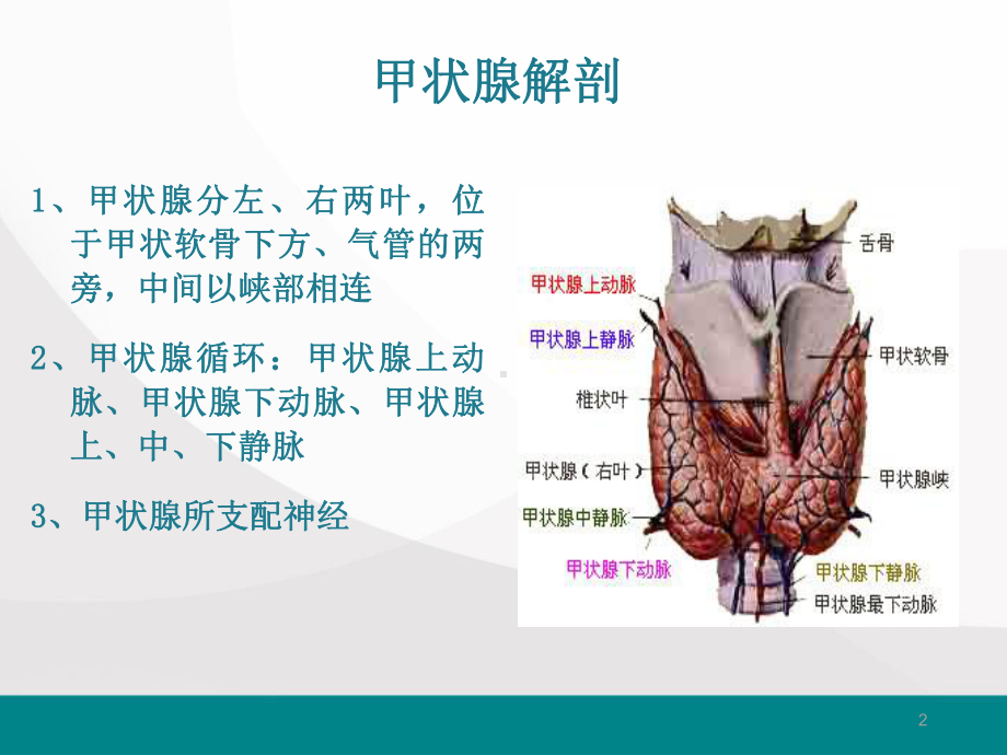 甲状腺次全切除术手术配合医学PPT课件.ppt_第2页