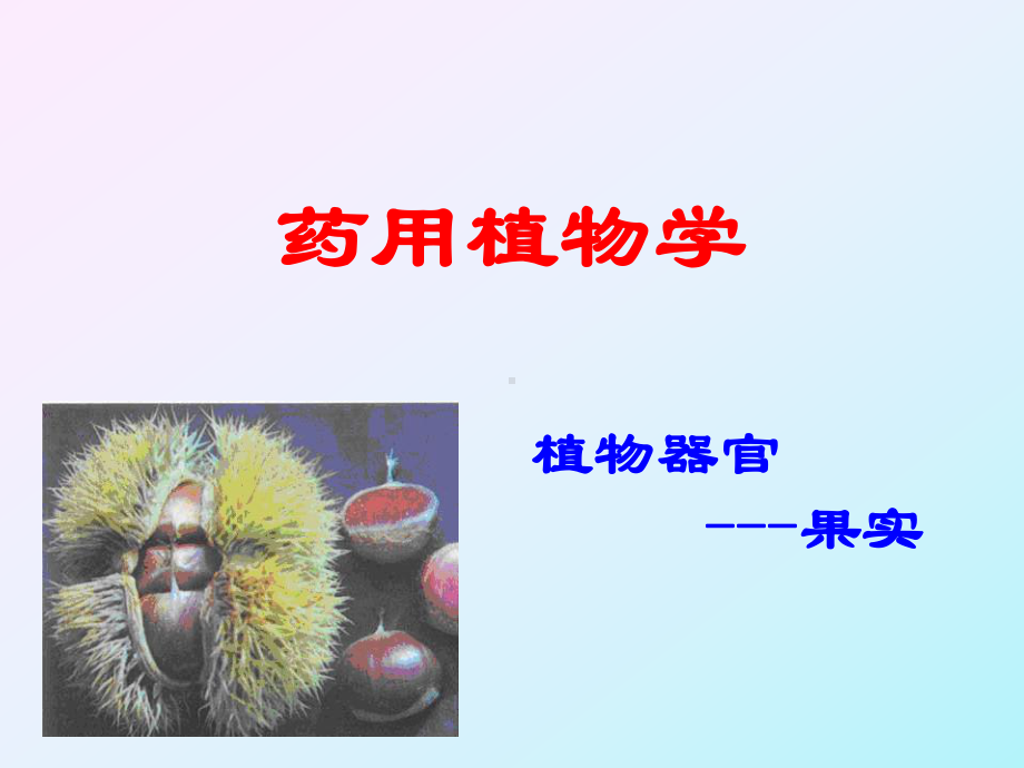 植物果实的形态-PPT课件.ppt_第1页