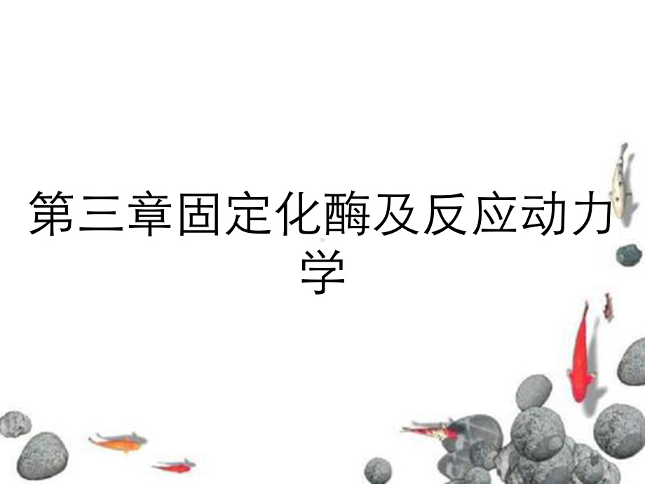 第三章固定化酶及反应动力学课件.ppt_第1页