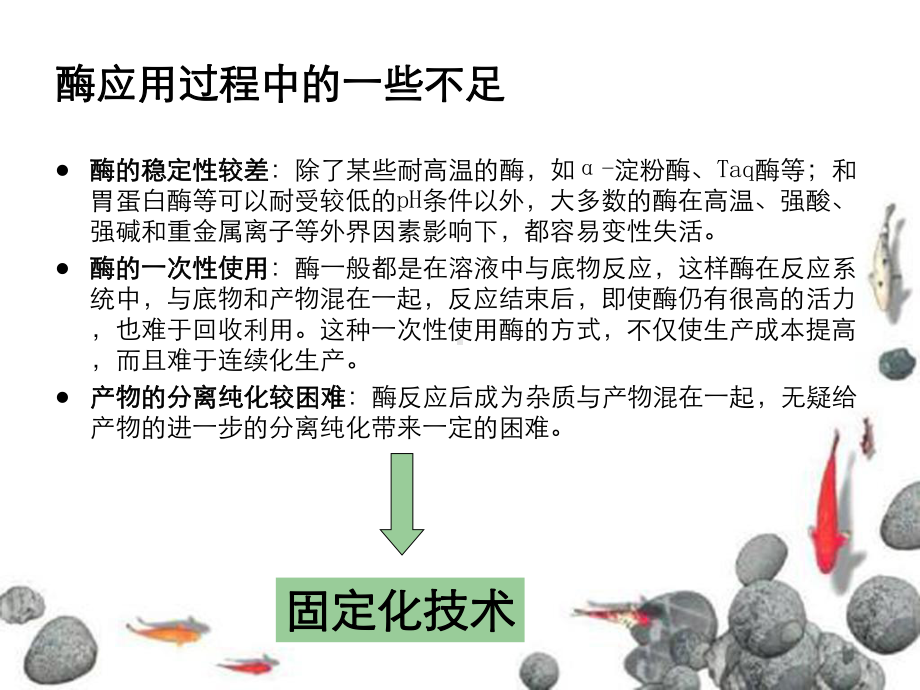 第三章固定化酶及反应动力学课件.ppt_第3页