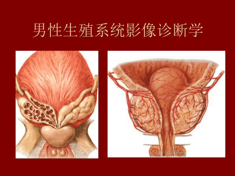 生殖系统疾病课件.ppt_第2页