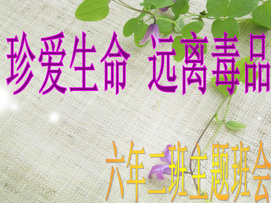 珍爱生命远离毒品.ppt课件.ppt_第2页