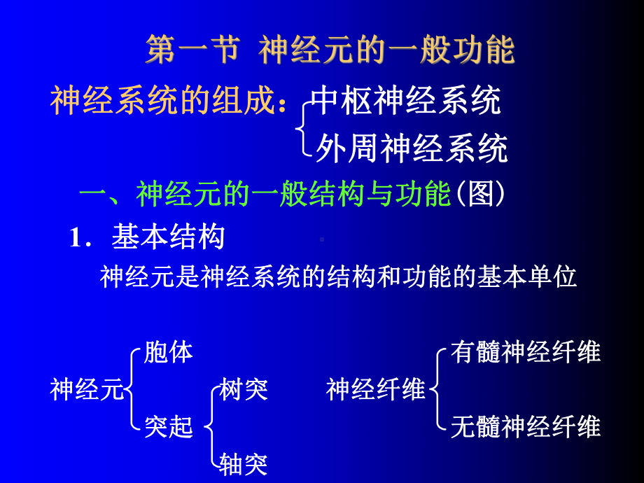 生理学课件10神经系统的功能.ppt_第2页