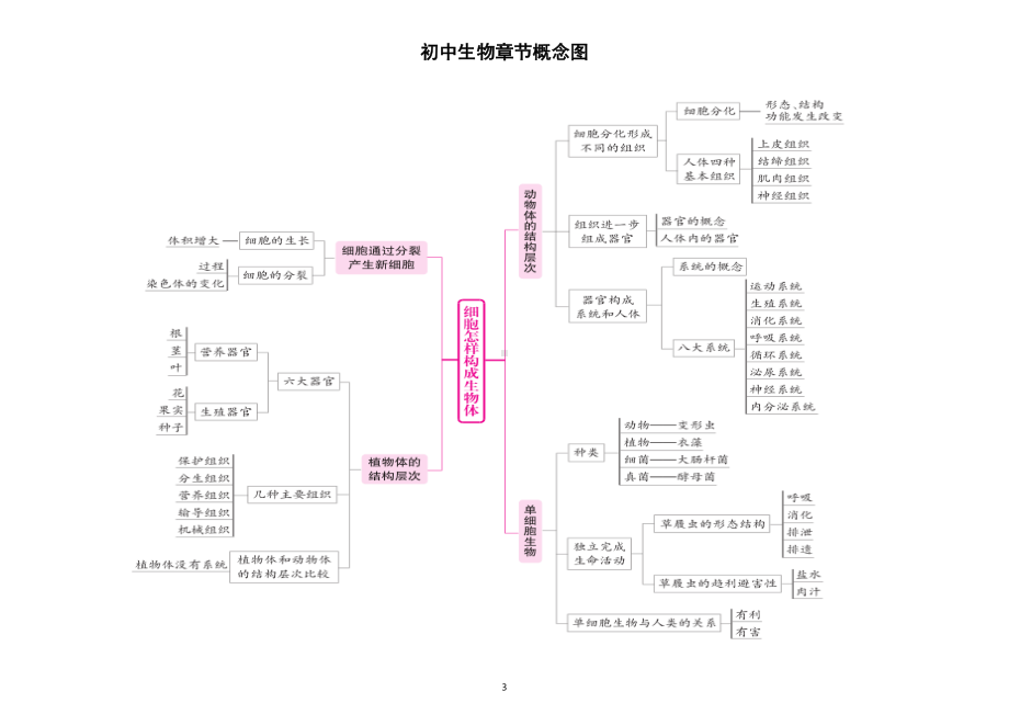 初中生物中考复习各章节概念图（涵盖所有重点知识）.doc_第3页