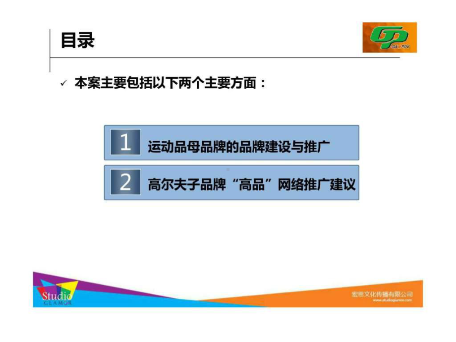 运动品牌品牌建设及高品高尔夫网络推广合作建议课件.ppt_第2页