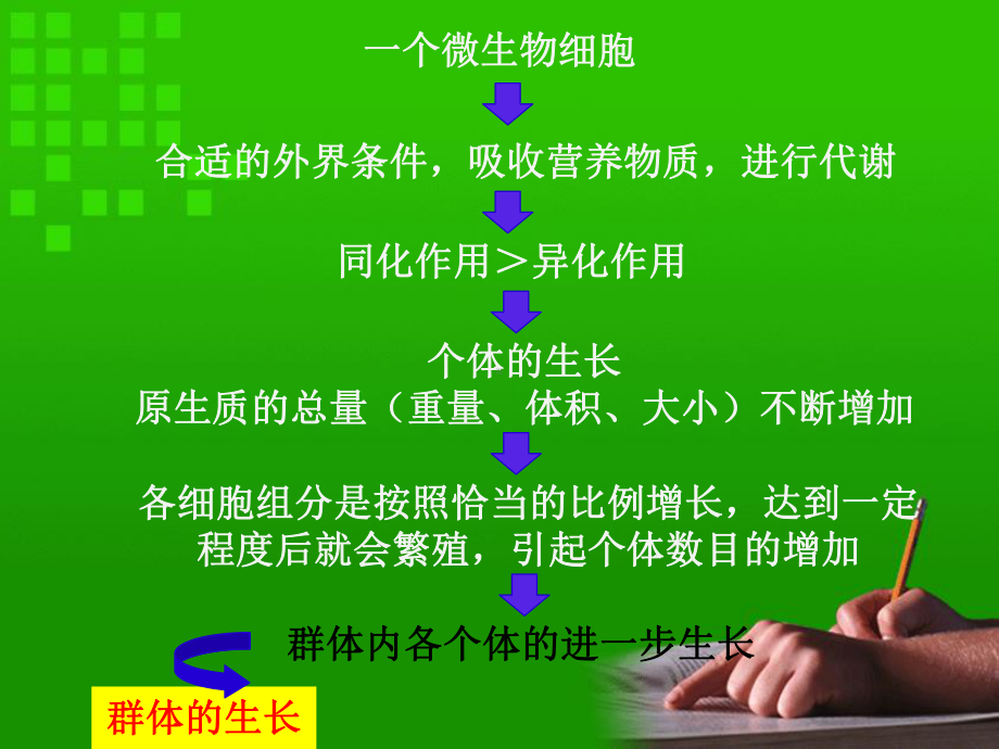 第六章微生物的生长繁殖及其控制课件.ppt_第2页