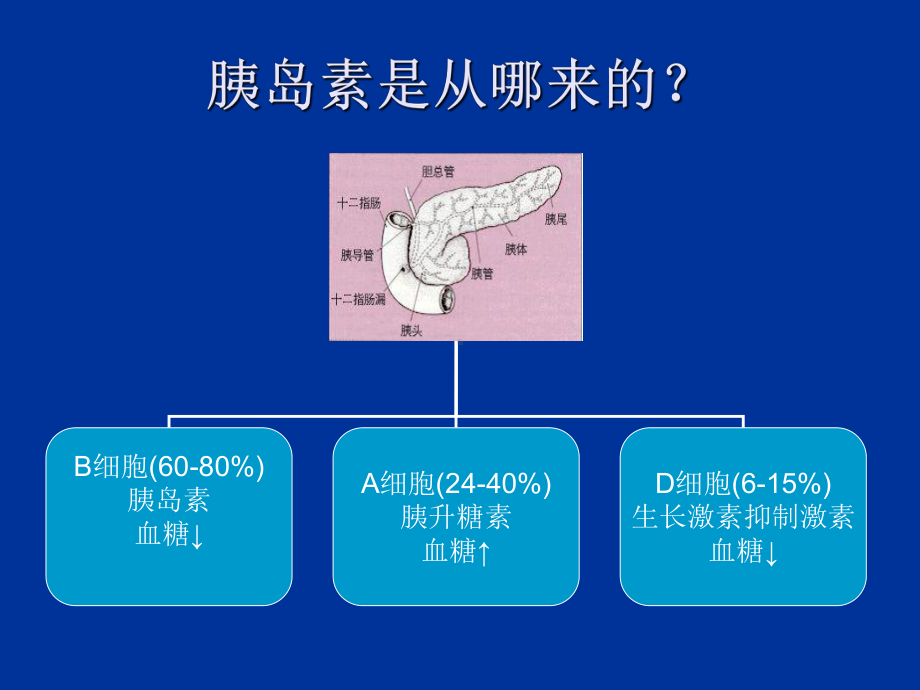 糖尿病病人的护理查房-PPT课件.ppt_第2页