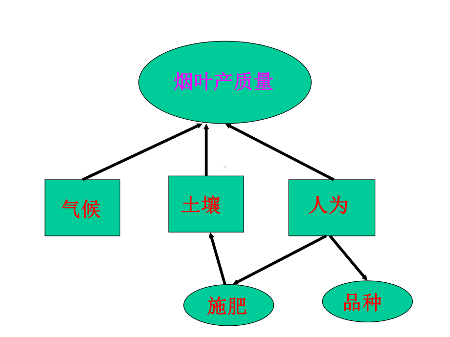 烤烟营养与施肥理论和实践课件.ppt_第3页