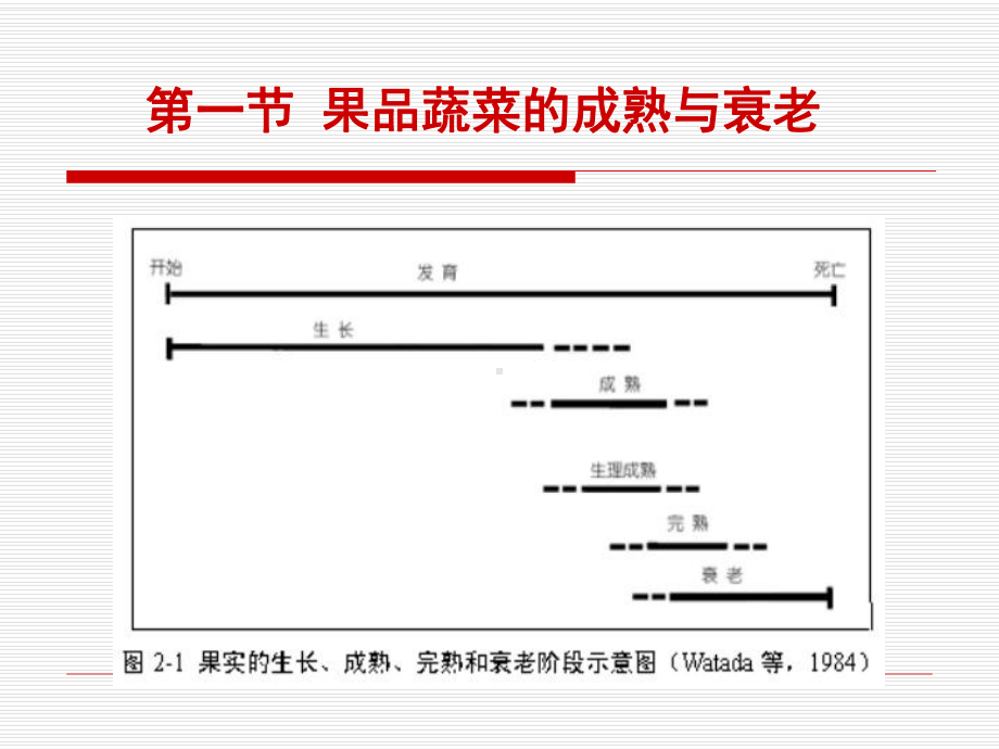 第二章-园艺品的采后生理-课件.ppt_第3页