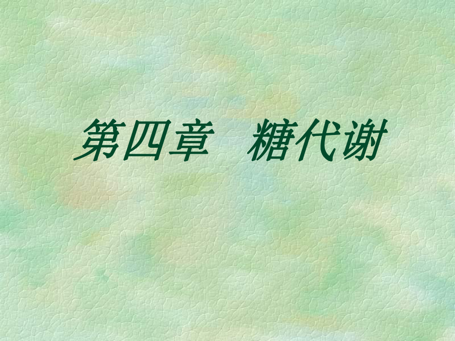 第二篇物质代谢课件.ppt_第3页