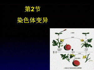 染色体变异正式版课件.ppt