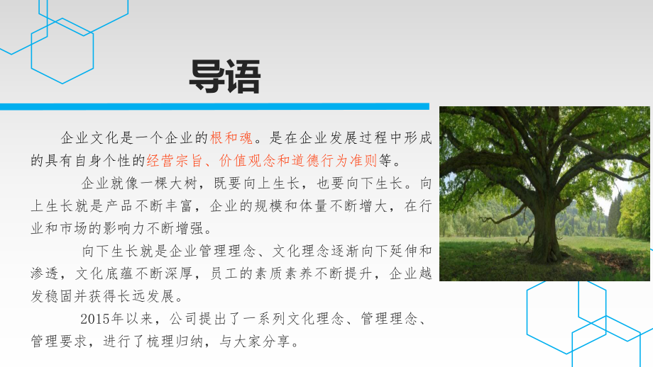 企业文化培训课件(PPT-71页).ppt_第2页