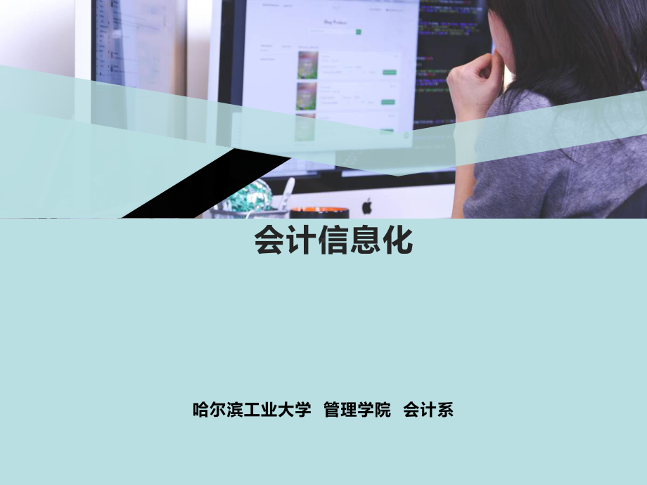 会计信息化总论课件.ppt_第1页