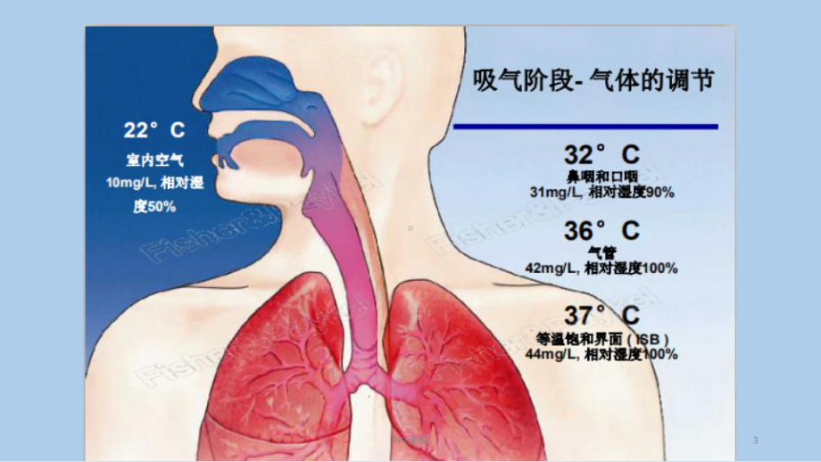 经鼻高流量湿化氧疗-ppt课件.ppt_第3页