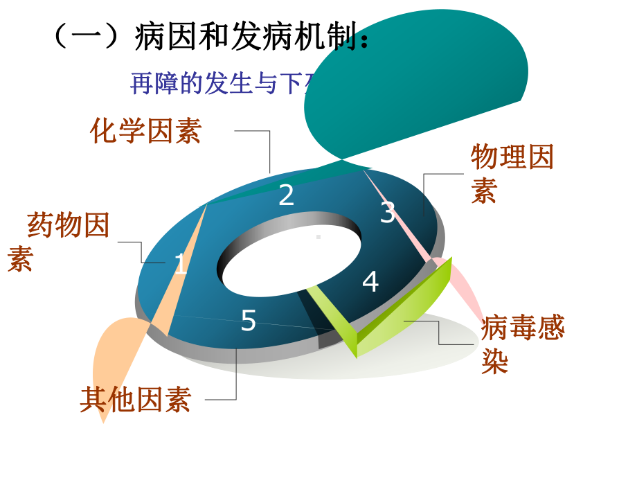 内科护理学-再生障碍性贫血病课件.ppt_第3页