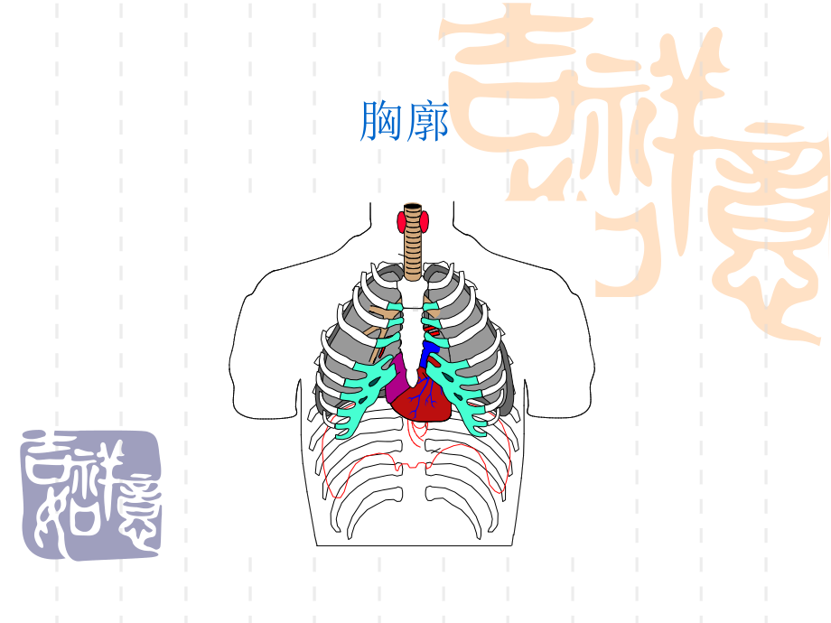 肺功能基础理论-肺功能仪基础理论课件.ppt_第3页