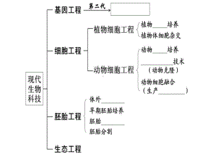 基因工程-课件.ppt