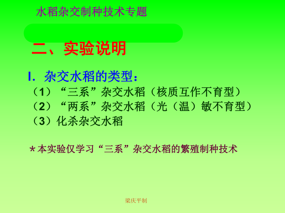 ex水稻制种技术10102-PPT课件.ppt_第2页