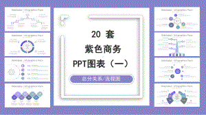 20套紫色商务PPT图表合集(一)课件.pptx