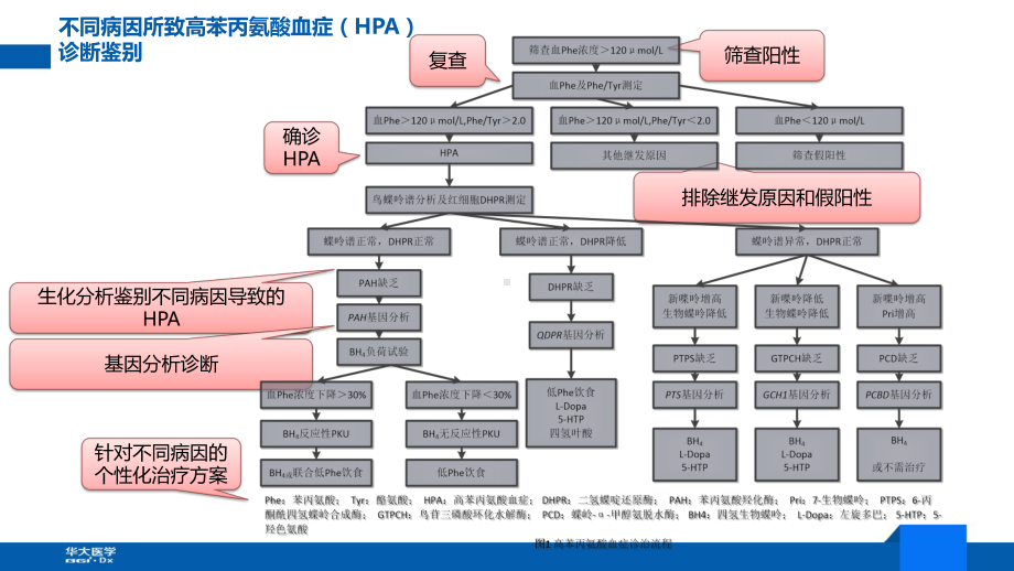 二代测序技术在新生儿遗传病方向的应用探索课件.pptx_第2页