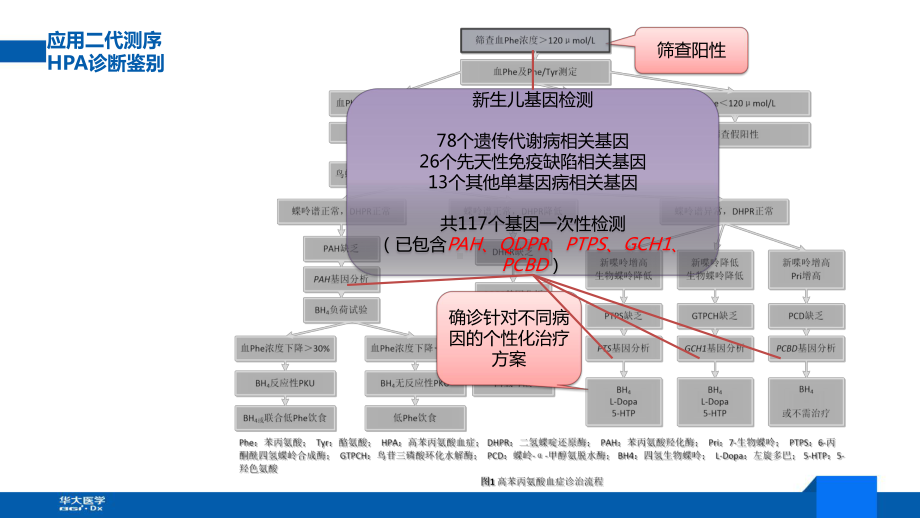 二代测序技术在新生儿遗传病方向的应用探索课件.pptx_第3页