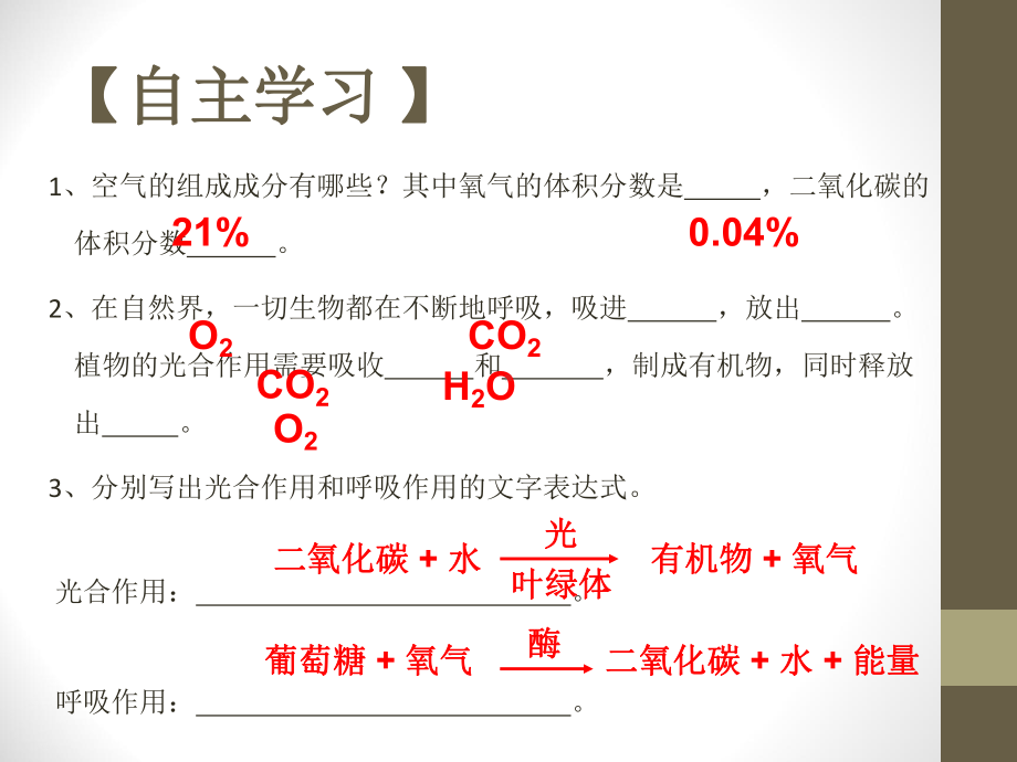 《自然界中的氧循环和碳循环》PPT课件.pptx_第2页