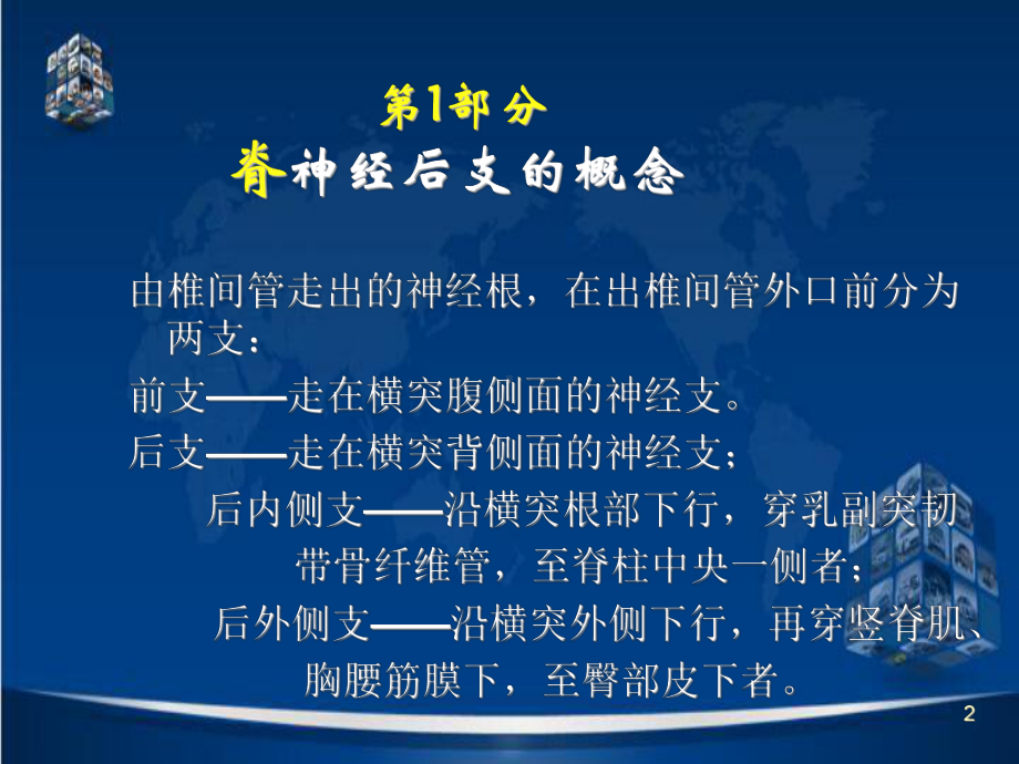 脊神经后支卡压综合征的诊断与PPT参考课件.ppt_第2页