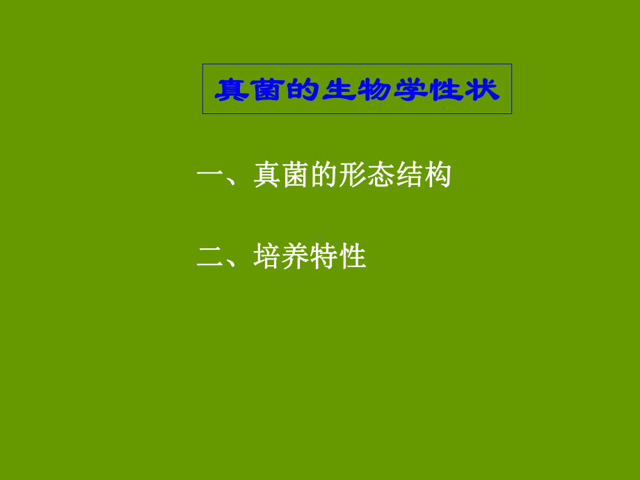 医学真菌总论课件.ppt_第2页