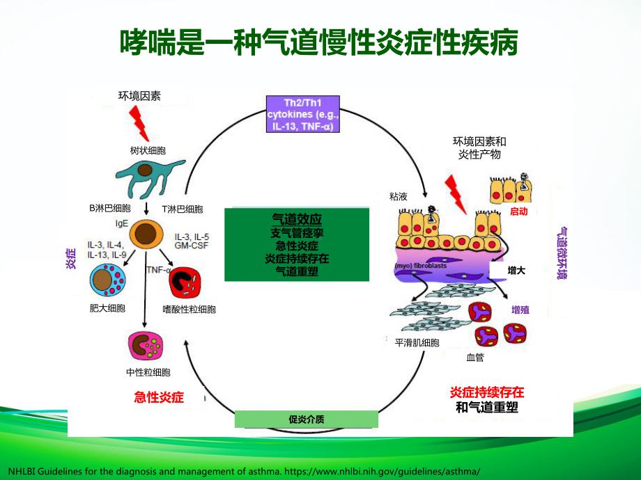 令舒儿科与顺尔宁比较课件.pptx_第3页