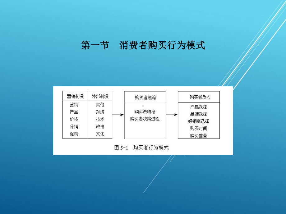 市场营销5章课件.pptx_第2页