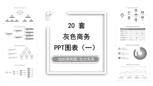 20套灰黑色商务PPT图表合集(一)课件.pptx