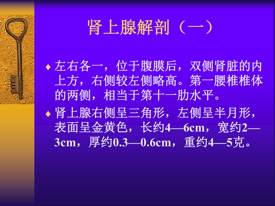 肾上腺肿瘤诊断和治疗课件.ppt_第2页